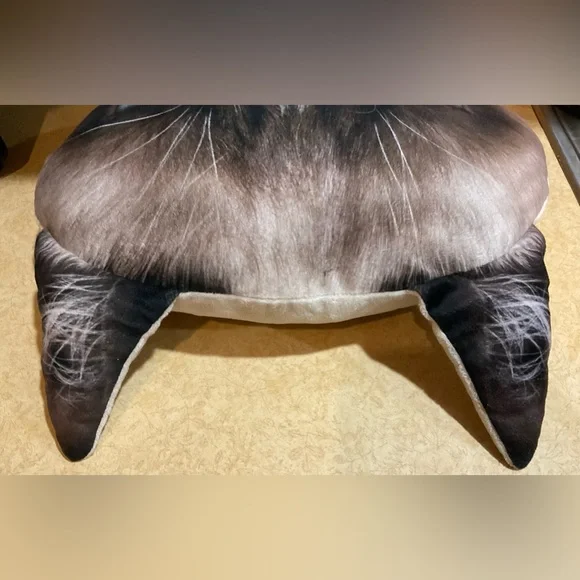 Jakks: Grumpy Cat  about 18 “ inches wide  n 13 “ inches tall decorative pillow - Picture 4 of 6